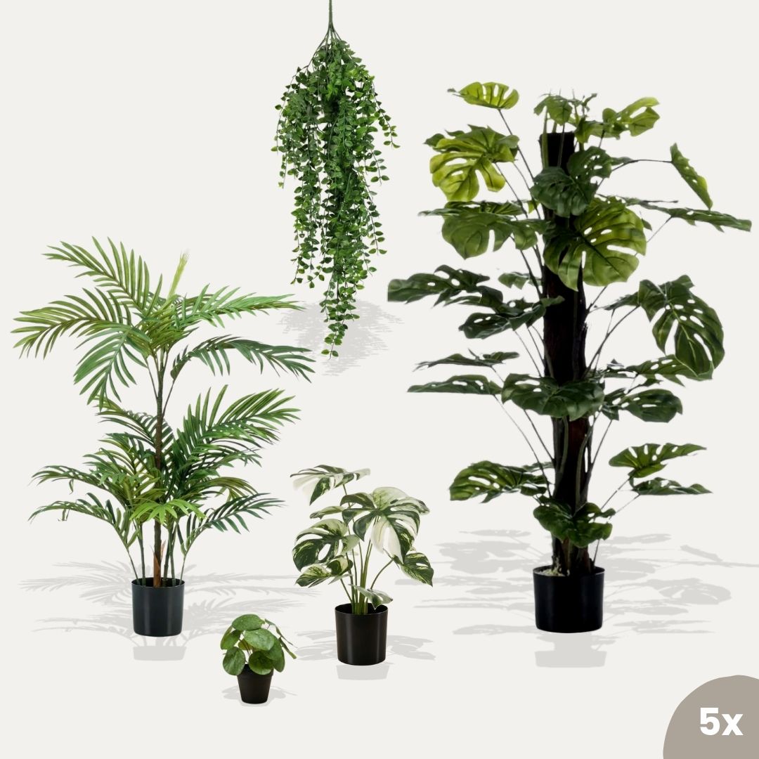 Urban Jungle L 5er-Set