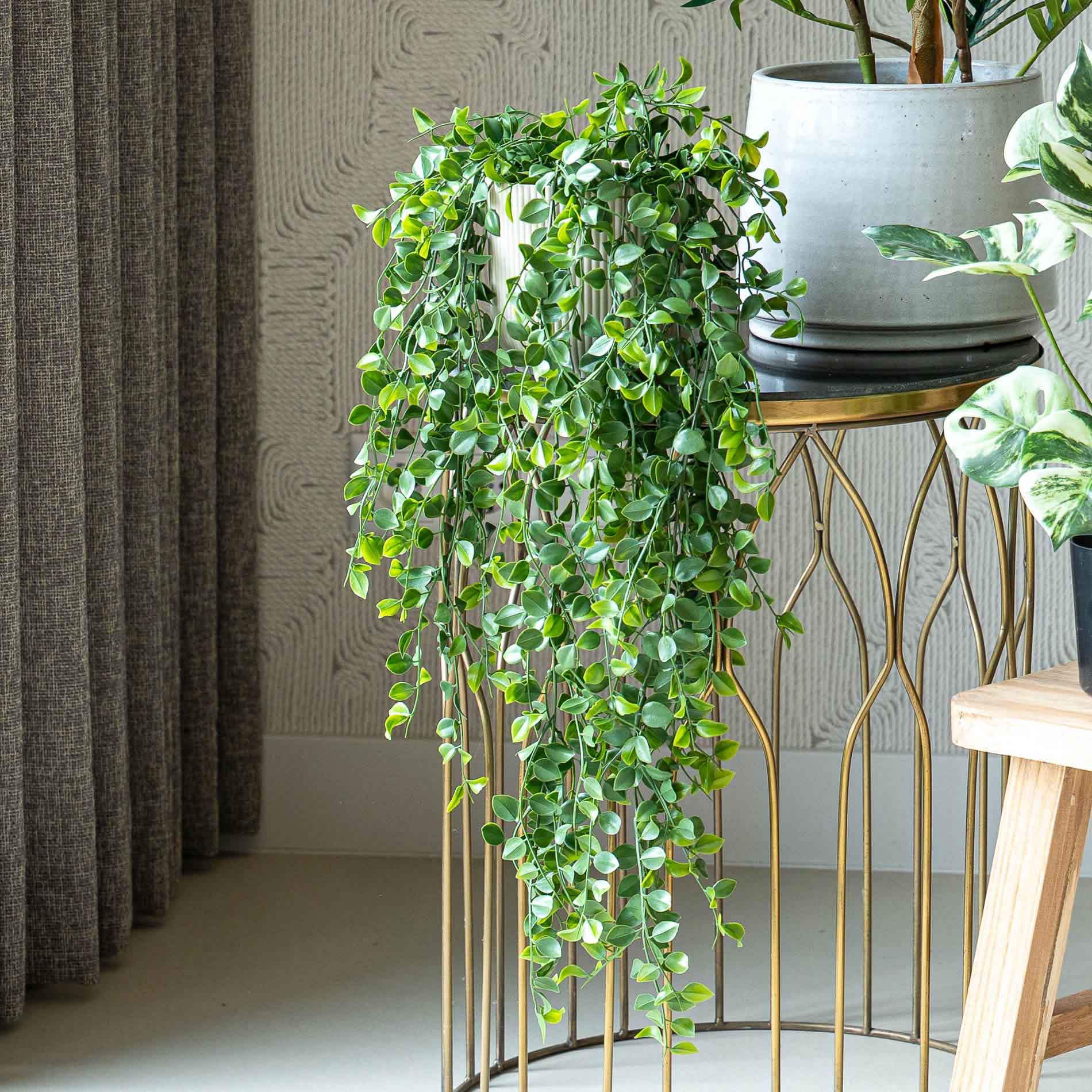 Urban Jungle L 5er-Set