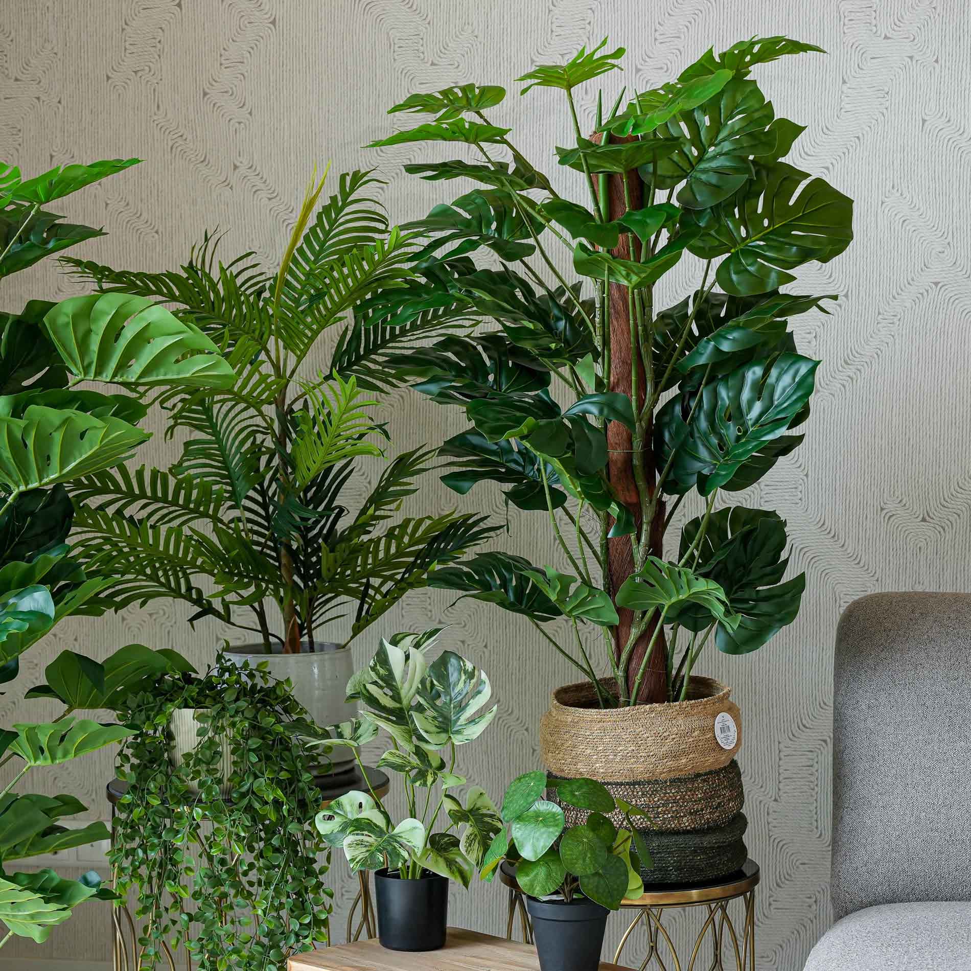 Urban Jungle XL 6er-Set