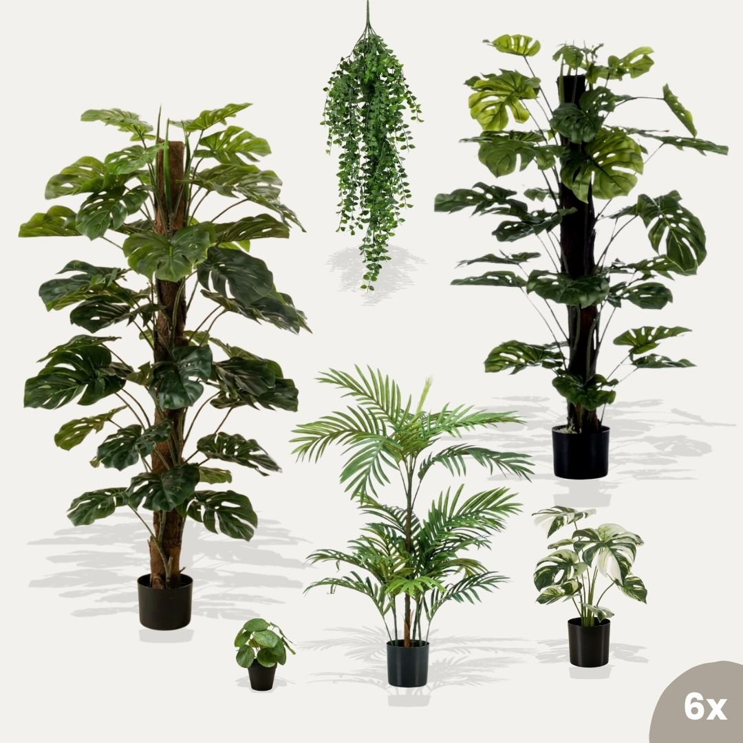 Urban Jungle XL 6er-Set
