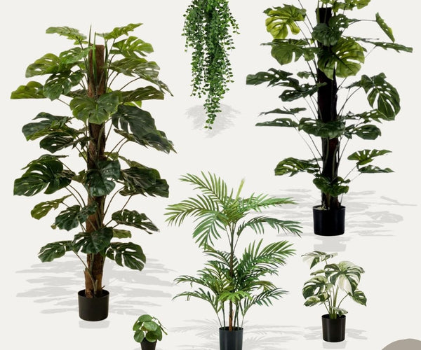 Urban Jungle XL 6er-Set