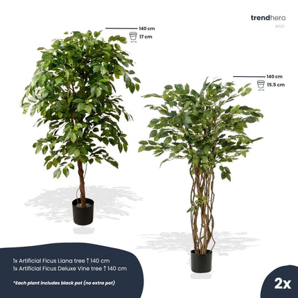 Ficus Deluxe Set - 2 Stück - Bündelprodukt - Kunstpflanzen
