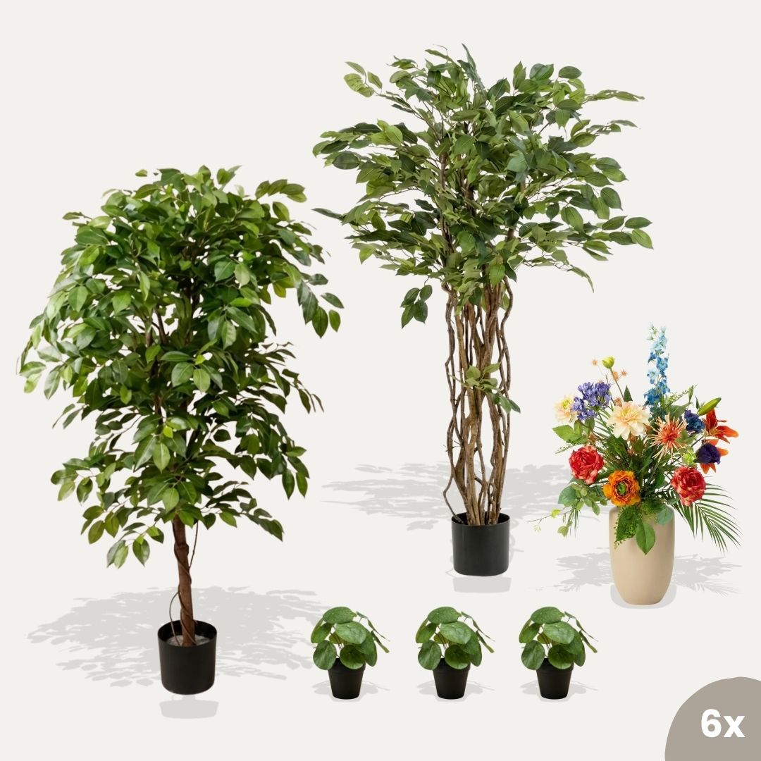 Spring Deluxe Set 6er-Set