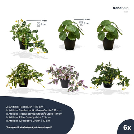 Mini Pflanzen XL - 6 Stück - Bündelprodukt - Kunstpflanzen
