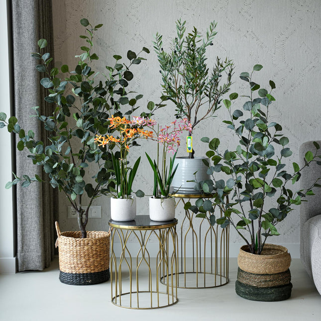 Ibiza set - 5 stuks - Bundel product - Kunstplanten