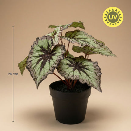 Begonia 26 cm – In pot – Grijs-paarse bladeren – Kunstplant – UV-bestendig – Binnen & buiten