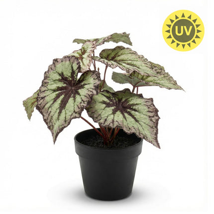 Begonia 26 cm – In pot – Grijs-paarse bladeren – Kunstplant – UV-bestendig – Binnen & buiten