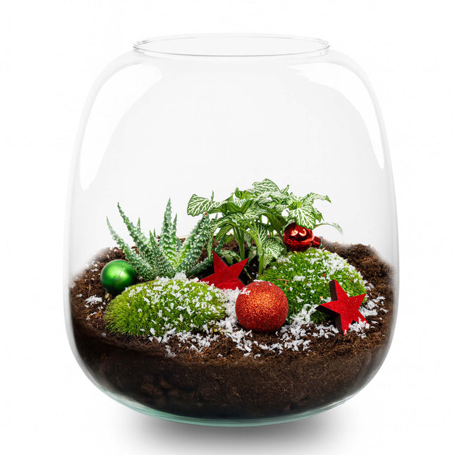 Berry Weihnachts-Terrarium – DIY Flaschengarten – Ø 19 cm ↑ 20 cm