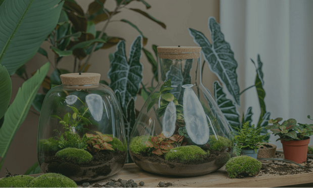 Christmas is around the corner..