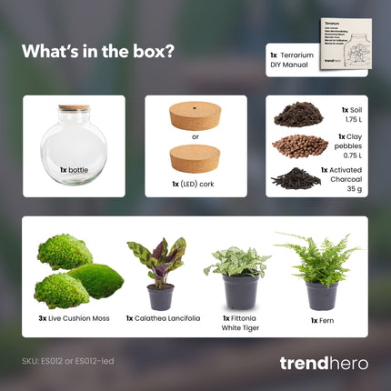 Bolder Bob - Flaschengarten mit Licht - DIY Terrarium mit Pflanzen im Glas - Ø 31 cm ↑ 30 cm