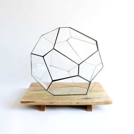 Geometrisch Terrarium - Cosmo - Vivarium - ↑ 31 x 29 x 29 cm (LxBxH) - Glas