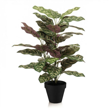Calathea Bush in Pot - Kunstplant - 65 cm