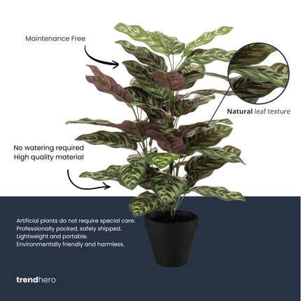 Calathea Bush in Pot - Kunstplant - 65 cm