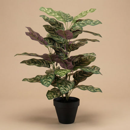 Calathea Bush in Pot - Kunstplant - 65 cm
