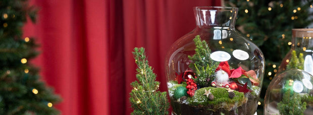 A plantastic gift for every green lover!