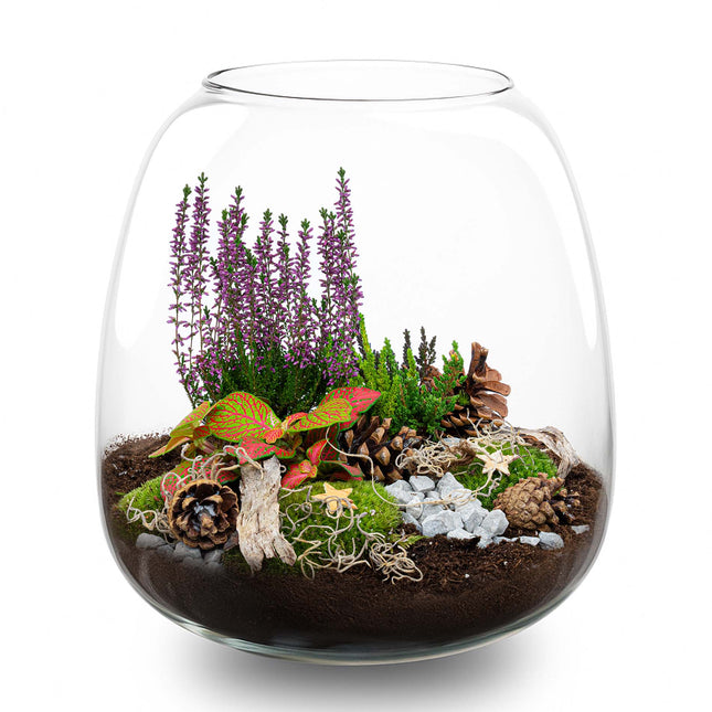 Cosy Weihnachts-Terrarium – DIY Flaschengarten – Ø 23 cm ↑ 26,5 cm