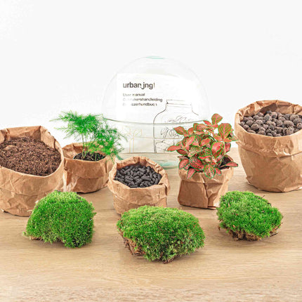 Planten terrarium • Dome Rood • Ecosysteem plant • ↑ 20 cm