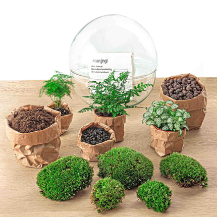 Kit DIY Terrarium • Dôme XL • Écosystème avec plantes • ↑ 30 cm