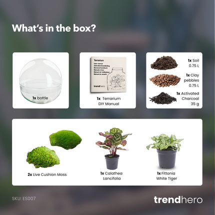 Dome - Zweiteiliges rundes Glas Flaschengarten - DIY Terrarium mit Pflanzen im Glas - Ø 20 cm ↑ 20 cm