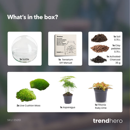 Dome Rot - Zweiteiliges rundes Glas Flaschengarten - DIY Terrarium mit Pflanzen im Glas - Ø 20 cm ↑ 20 cm