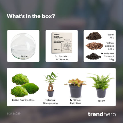 Dome XL Bonsai - Zweiteiliges rundes Glas Flaschengarten - DIY Terrarium mit Pflanzen im Glas - Ø 28 cm ↑ 28 cm