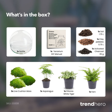 Dome XL - Zweiteiliges rundes Glas Flaschengarten - DIY Terrarium mit Pflanzen im Glas - Ø 28 cm ↑ 28 cm