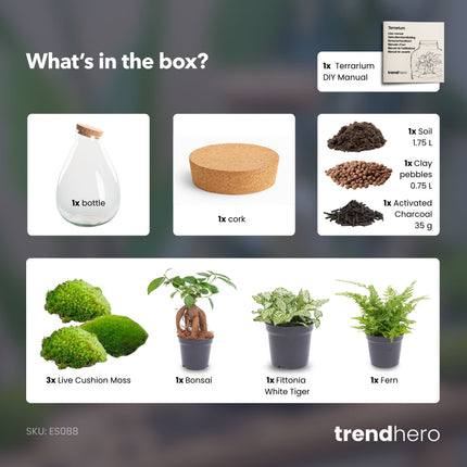 Drop XL Green - Terrarium with cork - Bottle garden DIY kit – Ø 24 cm ↑ 37 cm