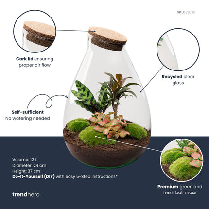 Drop XL Palme - Flaschengarten mit Korken - DIY Terrarium mit Pflanzen im Glas - Ø 24 cm ↑ 37 cm