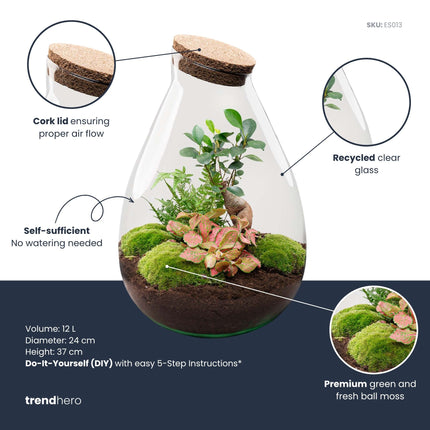 Drop XL Rot - Flaschengarten mit Korken - DIY Terrarium mit Pflanzen im Glas - Ø 24 cm ↑ 37 cm