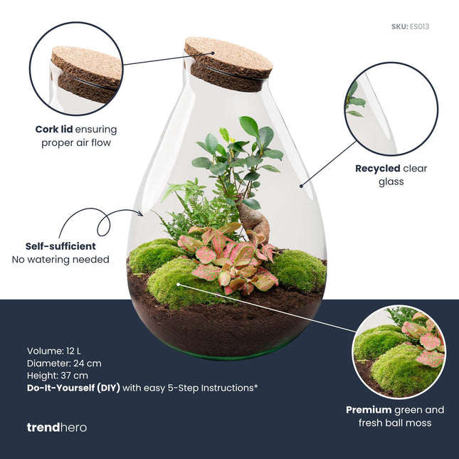 Drop XL Red - Terrarium with cork - Bottle garden DIY kit – Ø 24 cm ↑ 37 cm