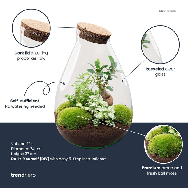 Drop XL Grun - Flaschengarten mit Korken - DIY Terrarium mit Pflanzen im Glas - Ø 24 cm ↑ 37 cm
