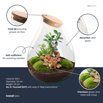 Drop XXL Bonsai - Flaschengarten mit Korken - DIY Terrarium mit Pflanzen im Glas - Ø 34 cm ↑ 43 cm