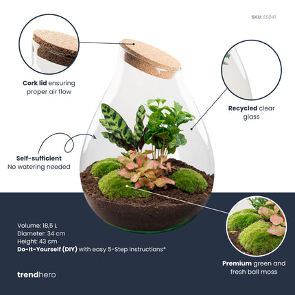 Drop XXL Rot - Flaschengarten mit Korken - DIY Terrarium mit Pflanzen im Glas - Ø 34 cm ↑ 43 cm
