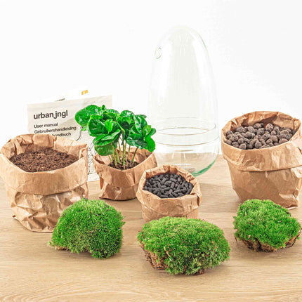 Planten terrarium - Egg - Ecosysteem in 'ei stolp' - ↑ 25 cm