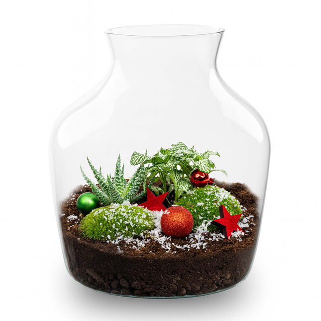 Evergreen Weihnachts-Terrarium – DIY Flaschengarten – Ø 17 cm ↑ 25 cm