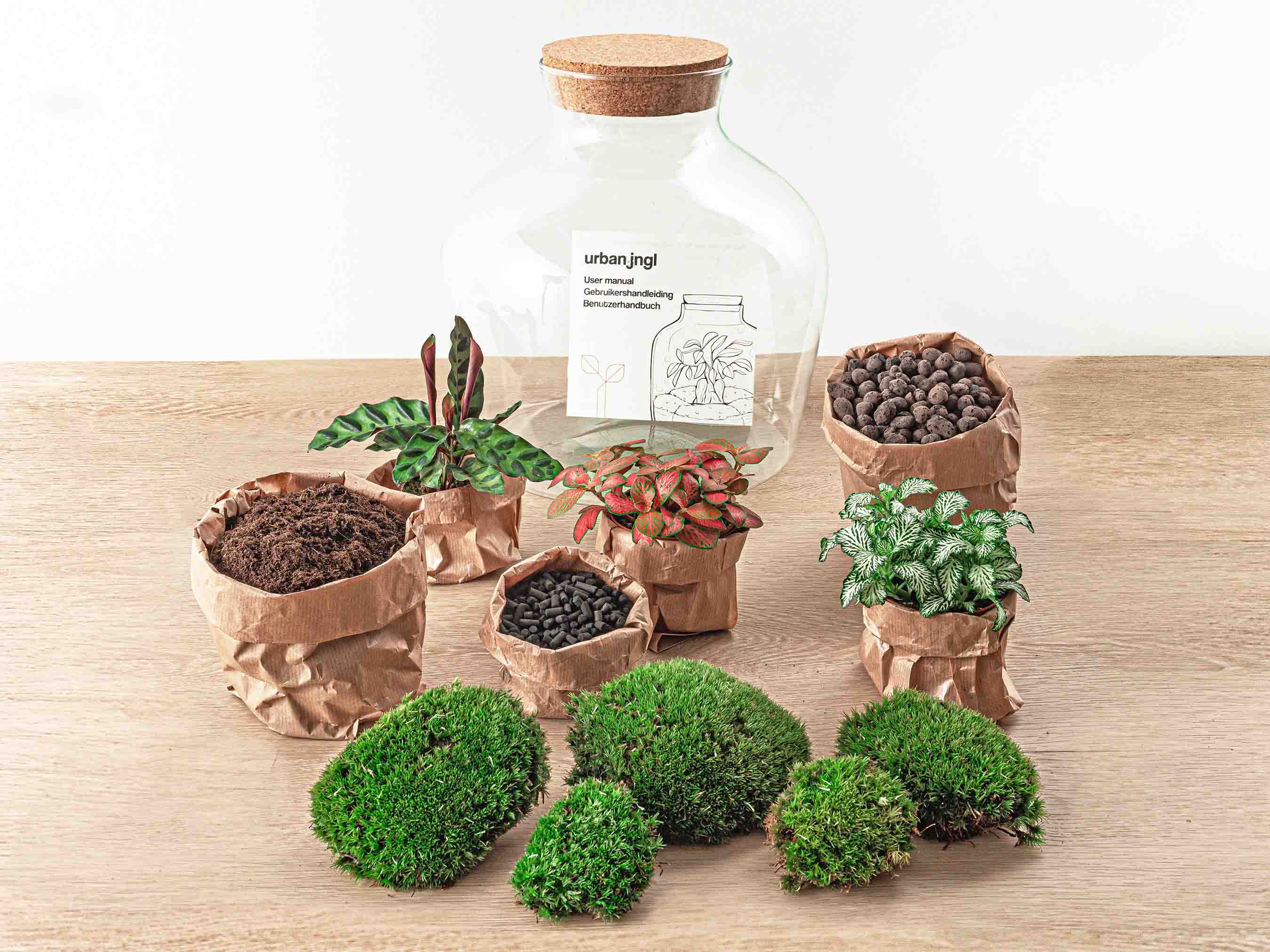 THE Kit DIY Terrarium Kit All You Need is the Container 