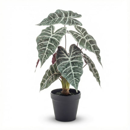 Alocasia bush in pot 40 cm - Artificial plant