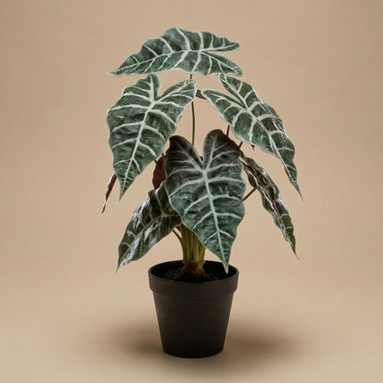 Alocasia bush in pot 40 cm - Artificial plant