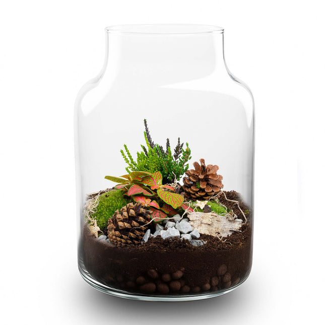 Frosty Weihnachts-Terrarium – DIY Flaschengarten – Ø 17 cm ↑ 25 cm