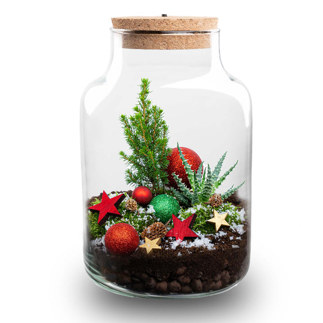 Frosty Weihnachts-Terrarium – DIY Flaschengarten – Ø 17 cm ↑ 25 cm