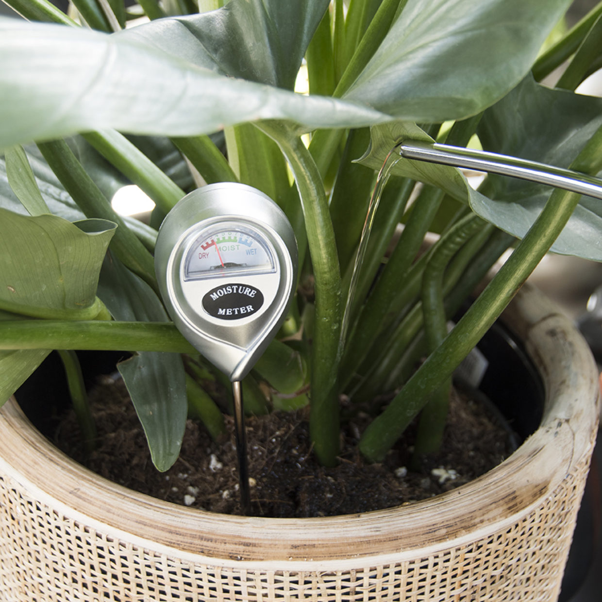 house plant moisture meter Hygrometer ↑ 28 cm – urbanjngl.com