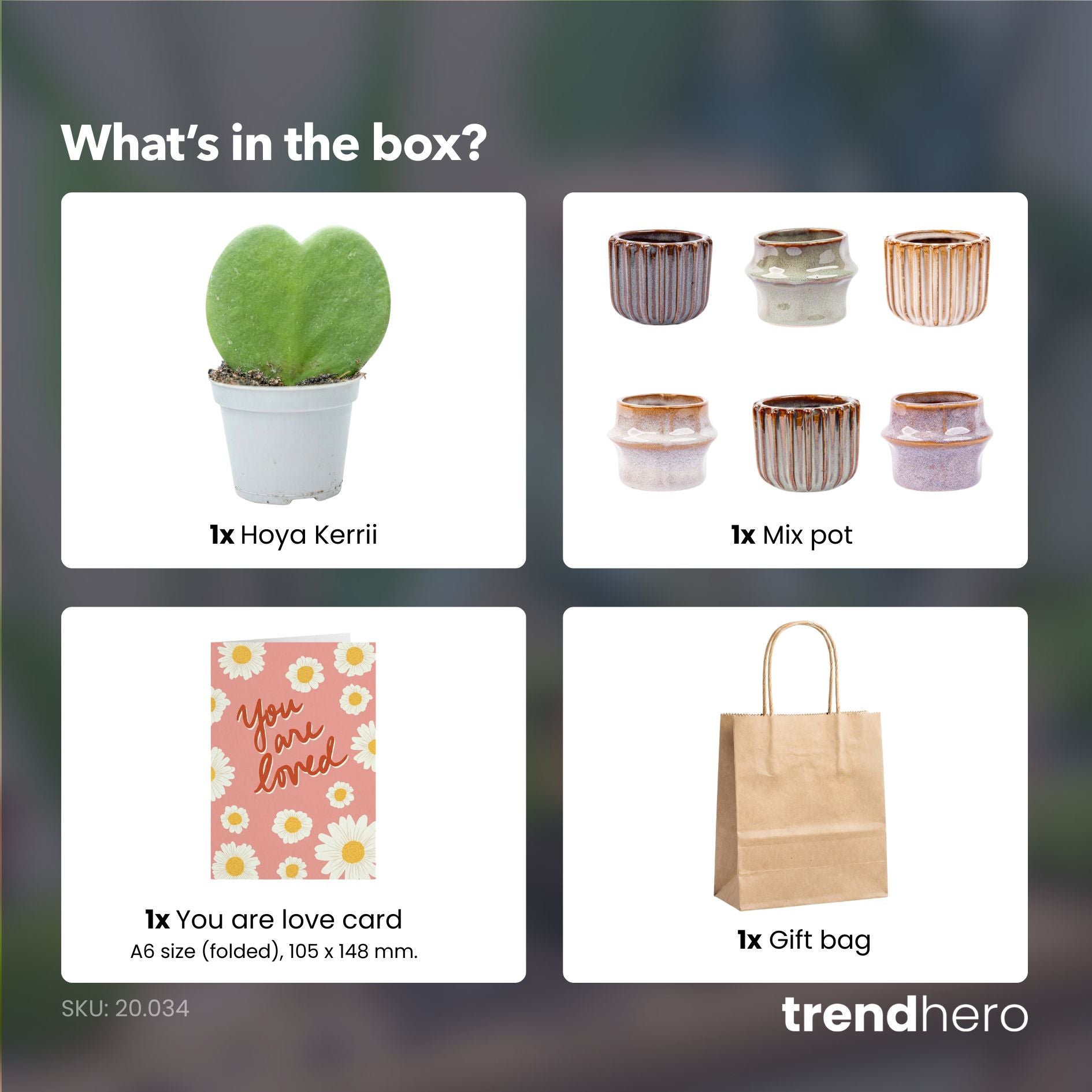 plant pot gift set Mini Gift Add-On Love set with Heart Plant