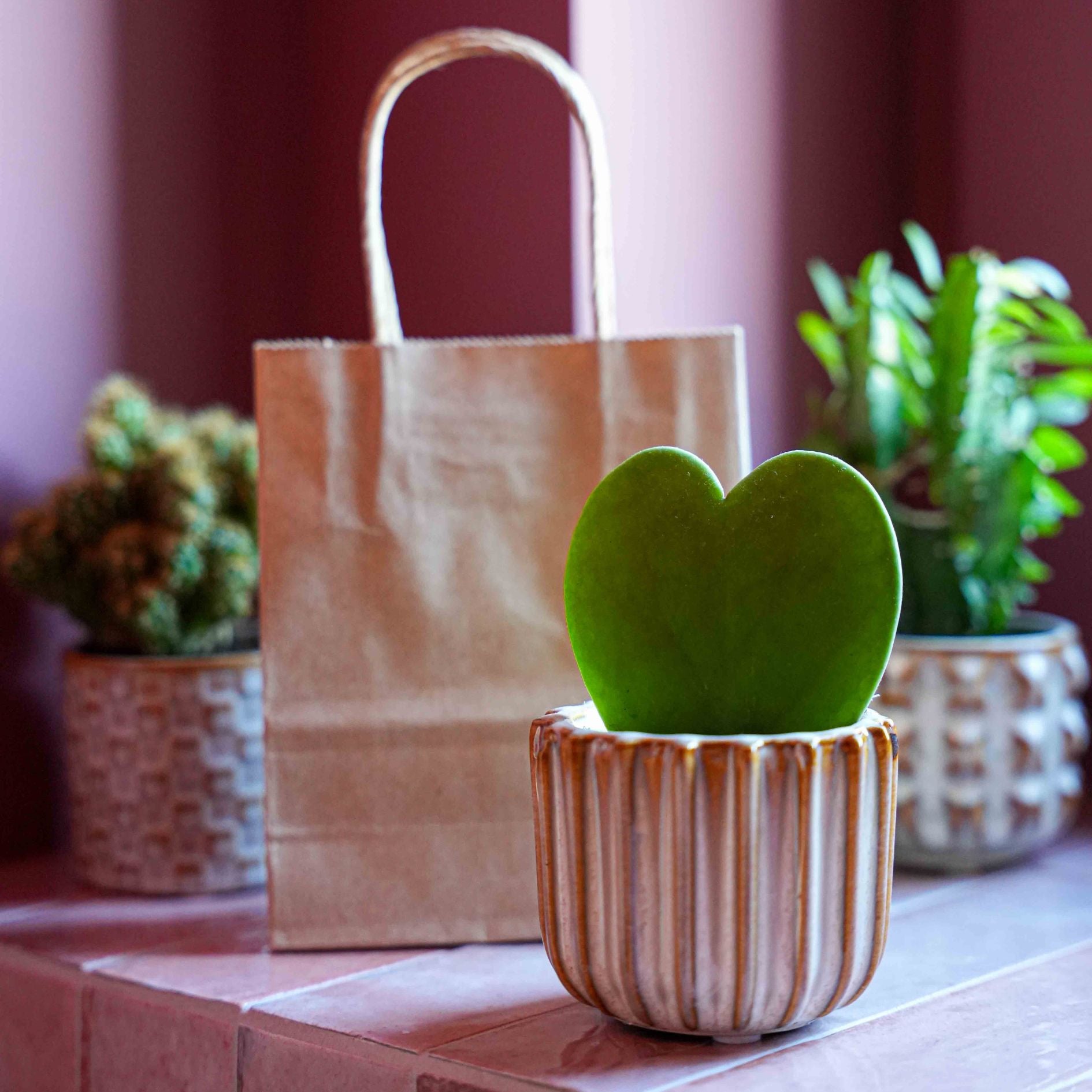plant pot gift set Gift set - Love Set