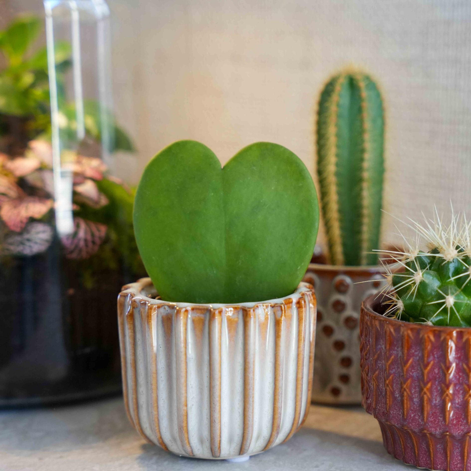 plant pot gift set Gift set - Love Set