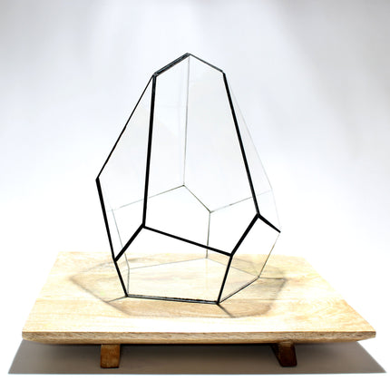 Geometric Terrarium - Jungle Gem - Vivarium - ↑ 16 x 15 x 19,5 cm (LxWxH) - Glass