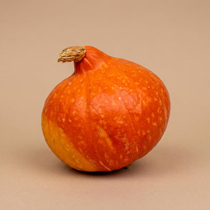 Hokkaido pumpkin - Red/Orange - Real - Ø 17 cm - 1,5 kg