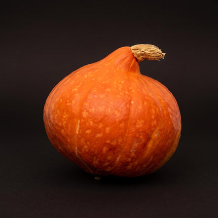 Hokkaido pumpkin - Red/Orange - Real - Ø 17 cm - 1,5 kg