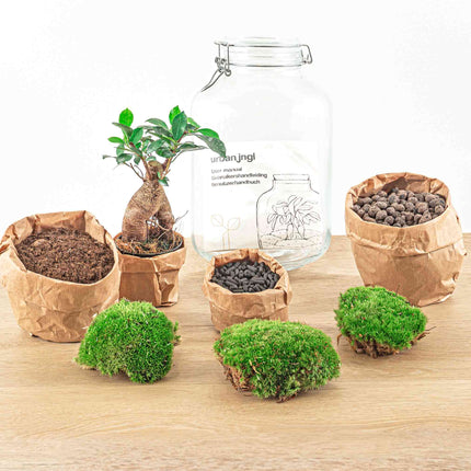 Jar Terrarium Kit - Bottle Garden - ↑ 28 cm