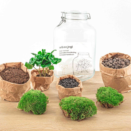 Jar Terrarium Kit - Bottle Garden - ↑ 28 cm