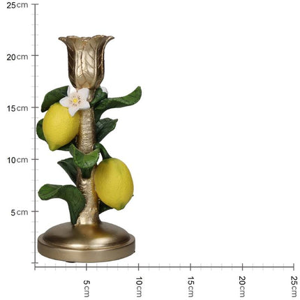 Kandelaar met citroenplant - ↑ 22 cm